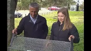 Twelve-year-old girl comes up with invention to help clean Kiwi waterways