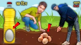 अगर हम अंडे 🥚 को 10 दिन तक पेट्रोल ⛽️ में रखें तो क्या होगा? 😱 | Shocking Experiment 🚫 