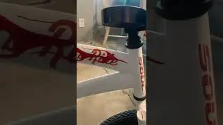 First pinstriped flames test on my Soul Beach cruiser bicycle - more practice needed