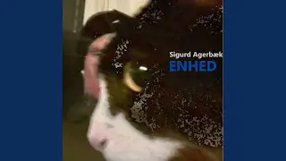 Endnu En Dag