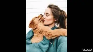 🐶Dog dp for whatsapp ❤️Biutiful puppy image🐕  whatsapp profail picture