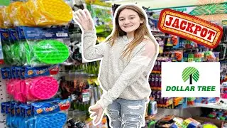 HIT THE FIDGET JACKPOT AT DOLLAR TREE 🤑 **NO BUDGET** 🤑