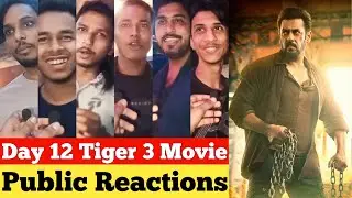 Tiger 3 Movie Public Reviews, Tiger 3 Movie Reviews, Tiger 3 Public Reactions, Tiger 3 Reviews