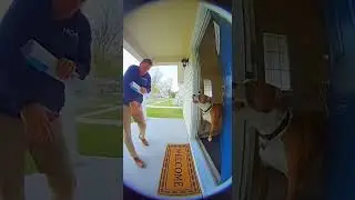 This DOG is a TOUGH cookie Watch the brave alert in action #DoorbellCam #HOA #Dogs