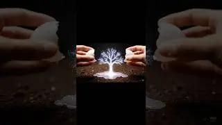 Plumeria tree collection #ai #egg #tree #asmr
