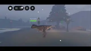 Playing Roblox Games