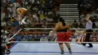 Lex Luger Tribute