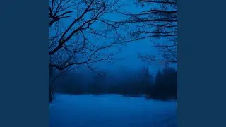 evening rain