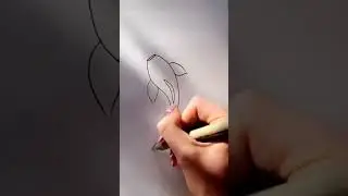 #koifish Koi fish drawing #koifish #drawing #art how to draw a koi fish for begi