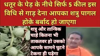 धतूर के पेड़ के नीचे सिर्फ 5 कील इस विधि से गाड़ देना आपका शत्रु पागल होके बर्बाद हो जाएगा।