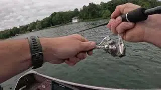 Weedy snot rocket on pine lake WI.