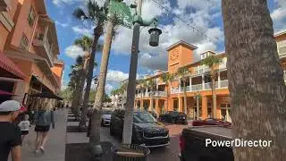 A First Visit to Celebration, Florida | Honoring Adam the Woo