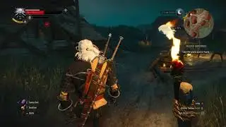 The Witcher 3 Take Gland Acid to Yoana
