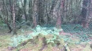 Nature cult tour