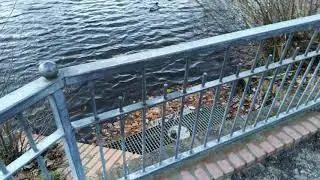 Sharp Aquos C10 Camera Test