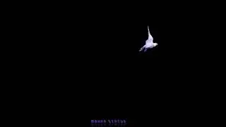 Birds flying effects // black screen effects // flying effects