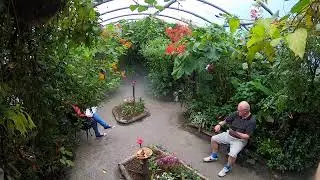 Magic of Life Butterfly House 24th June 2019