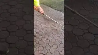 Lavando patio de adoquines Power washing paver patio