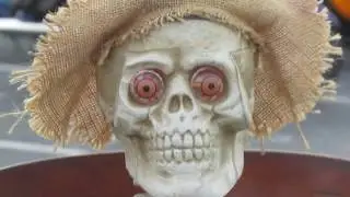 Parking Decor