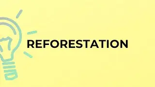 What is the meaning of the word REFORESTATION?