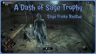 Demon's Souls - A Dash of Sage (rescue Sage Freke)