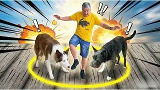 EL ÚLTIMO QUE SALE DEL CÍRCULO… PIERDE 😱🐶
