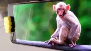 Oneplus 3 Optic AMOLED Display | Chetan Technical