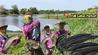 CASTING DIDANAU IKANNYA MONSTER SEMUA