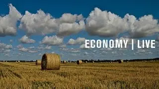 The 2014 Farm Bill: A midterm review