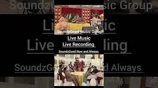 Flute Veena Violin Instrumental Live #soundzgood #spreadinghappines #wedding #instrumentalmusic