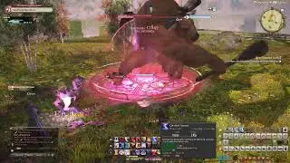 Final Fantasy XIV | Endwalker | Side Quest - An Expected Guest