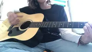 The Dark: Beth Crowley- Acoustic Guitar Cover