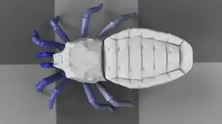 Extinct spider 'resurrected': Ancient spider-like bug recreated using CGI techniques