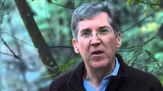 Buzz Thompson | A federal role in water management?