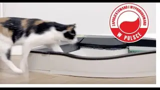 Самоочищающийся лоток SmartKitty&reg;