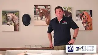 Horse Transportation 