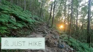4K sunrise walk- Peaceful POV mountain walk alone through the forest at sunrise