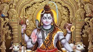 Prayers for the universe 🙏🙏🙏🙏🙏 Happy 2026