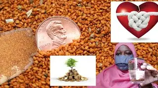 Miracle Seeds Unasumbuliwa Na Maganjwa Mbili Mbali Ya Kmwili Na Ya kiroho Hizi Mbegu Za Kimiujiza
