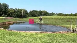 Training a young event horse, jumping session 1