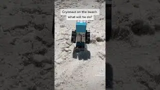 Cryonaut on the Beach