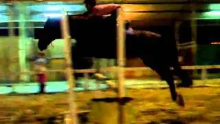 DSCF0461