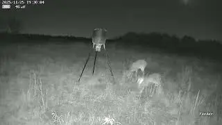 Can someone explain what the actual heck this noise is???!