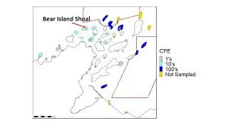 LSC 01 A Modern Look at Lean Lake Trout Spawning Locations in the Apostle Islands