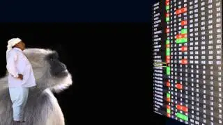 SHARE TRADING- FOLLOW ONE SYSTEM  FOR SURVIVAL