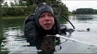 Duck Stop Bodensee - 04: Abgetaucht