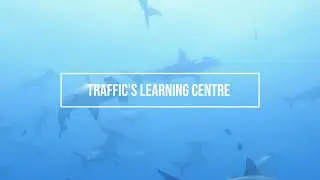 The TRAFFIC Learning Centre