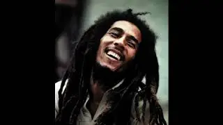 bob marley and the wailers Stir It Up rar