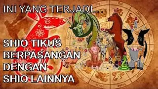 Rat zodiac compatibility predictions with other zodiac signs