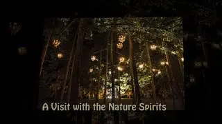A Visit with the Nature Spirits - Atala Toy